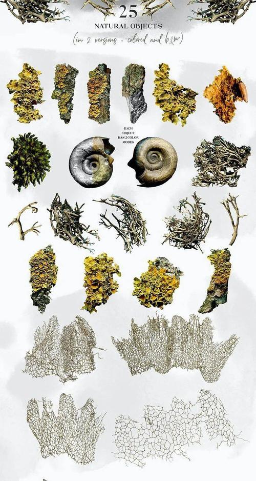 素材|25个大自然物品元素背景图素材